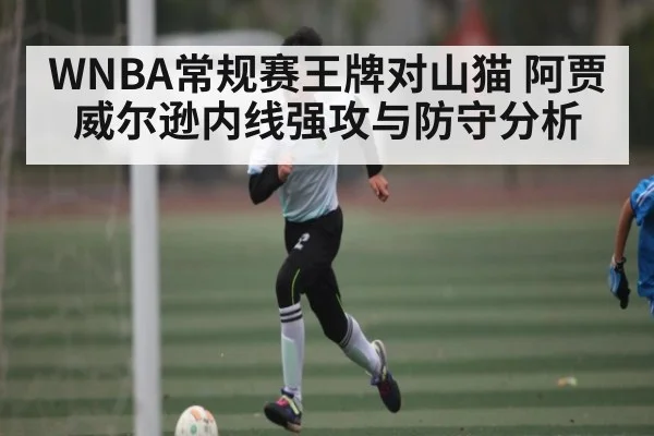 WNBA常规赛王牌对山猫 阿贾威尔逊内线强攻与防守分析